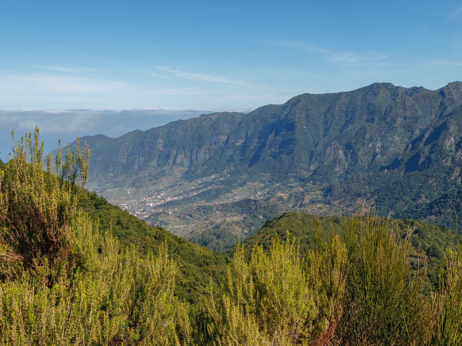 The green São Vicente valley and its long ridge seen from the Encumeada viewpoint, broom bushes in front