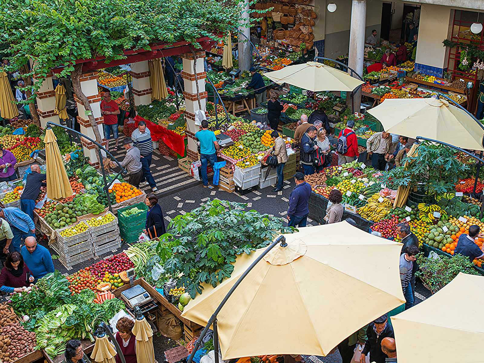 Fruit and vegetable stalls under umbrellas in the courtyard of the Mercado dos Lavradores